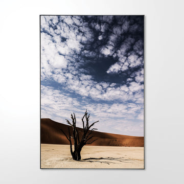 Deadvlei #1